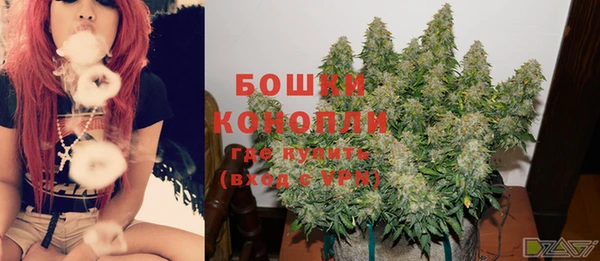 молекула духа Нефтекумск
