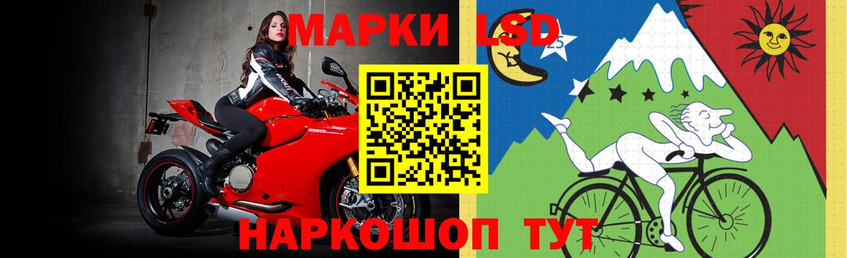  Cocaine Сертолово