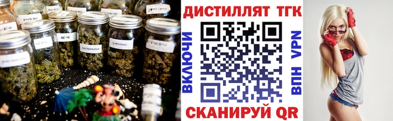 Дистиллят ТГК концентрат  где найти   МЕГА вход  Сертолово 