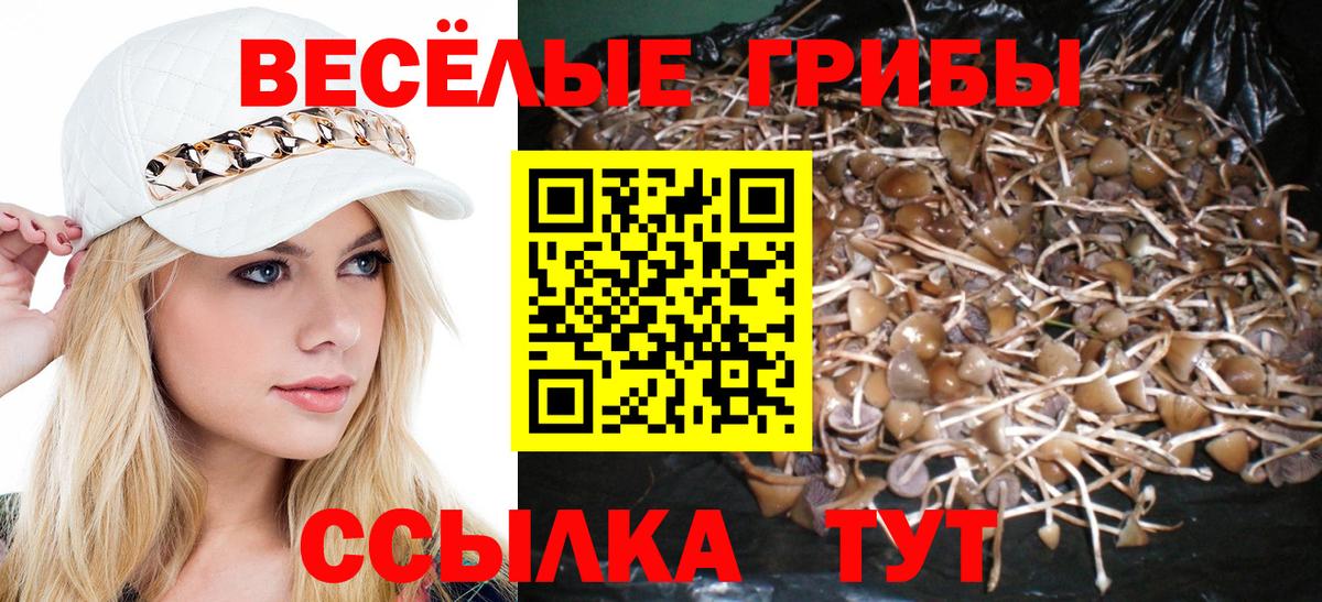 Псилоцибиновые грибы прущие грибы Сертолово