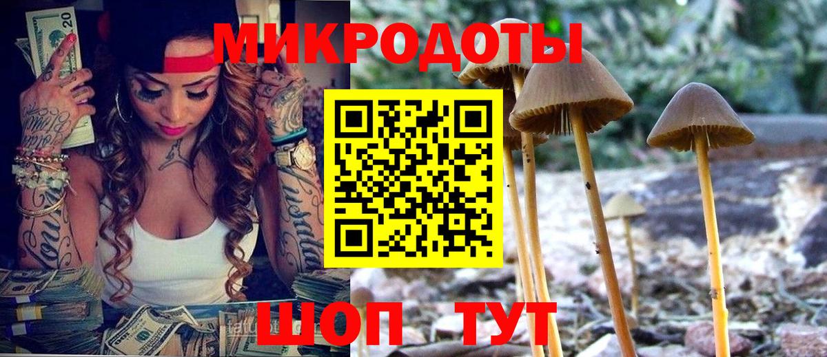 Галлюциногенные грибы Psilocybe  Вход с VPN  Сертолово 
