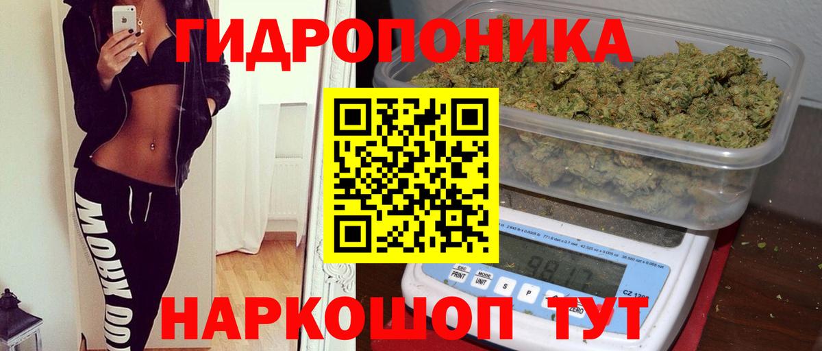 МАРИХУАНА конопля Сертолово